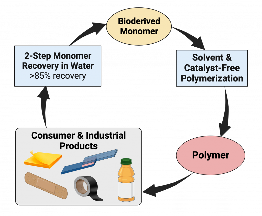 Polymer Adhesive Life Cycle- General v3(2)