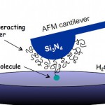 Principles of single moleculs force spectroscopy