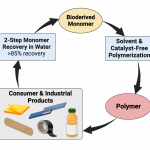 Polymer Adhesive Life Cycle- General v3 small